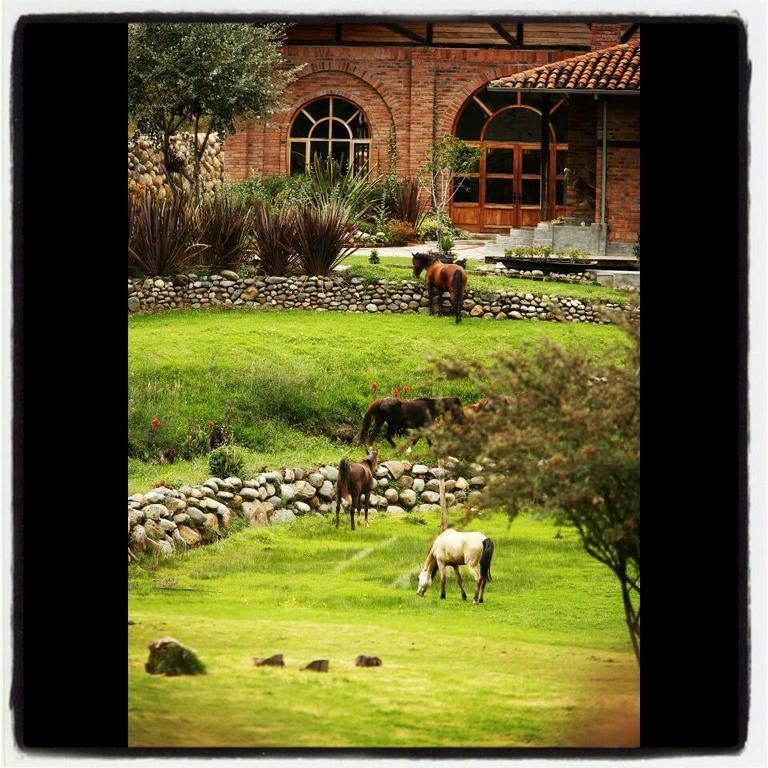 Hosteria Caballo Campana Cuenca Exterior foto